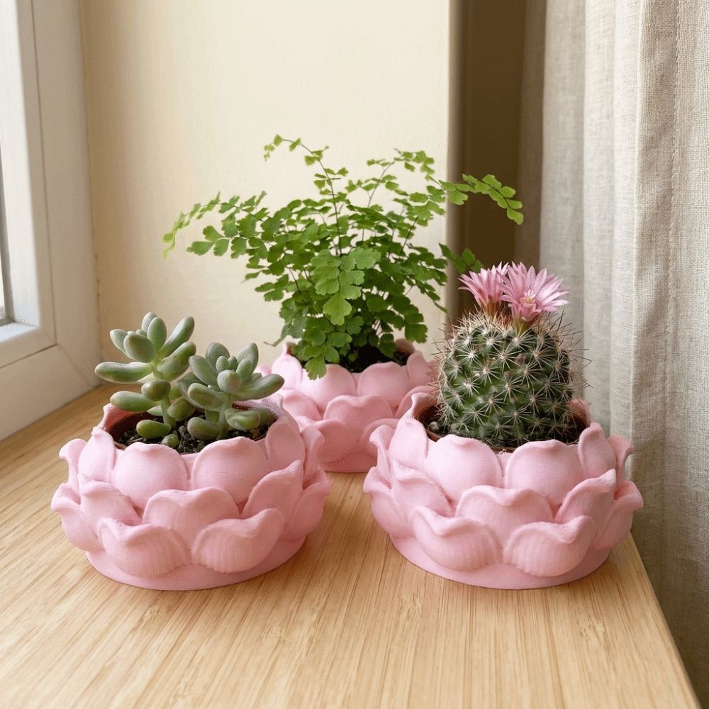 Snake Plant Ceramic - Lotus Shaped Succulent Plant Pot 3D