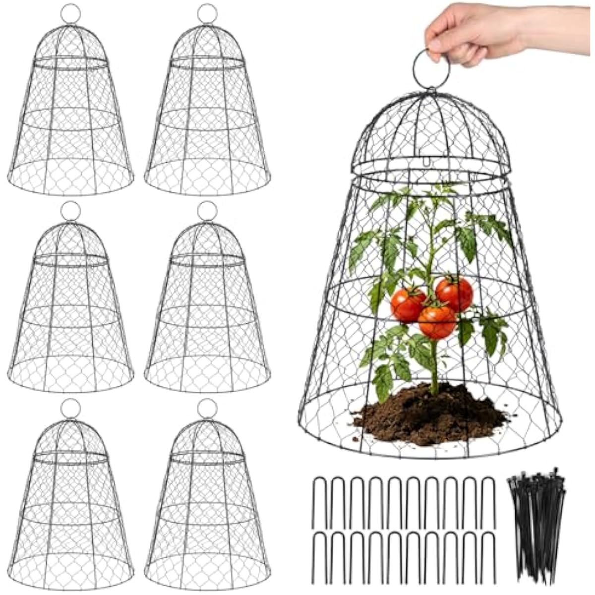 Plants X - 6 Pack Tall Black Wire Plant