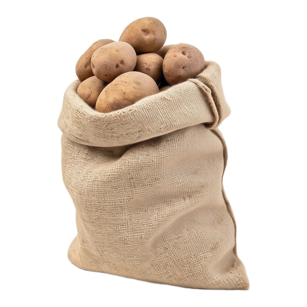 2 Piece Burlap Sack Set 60 x 1 - Plants X review and price