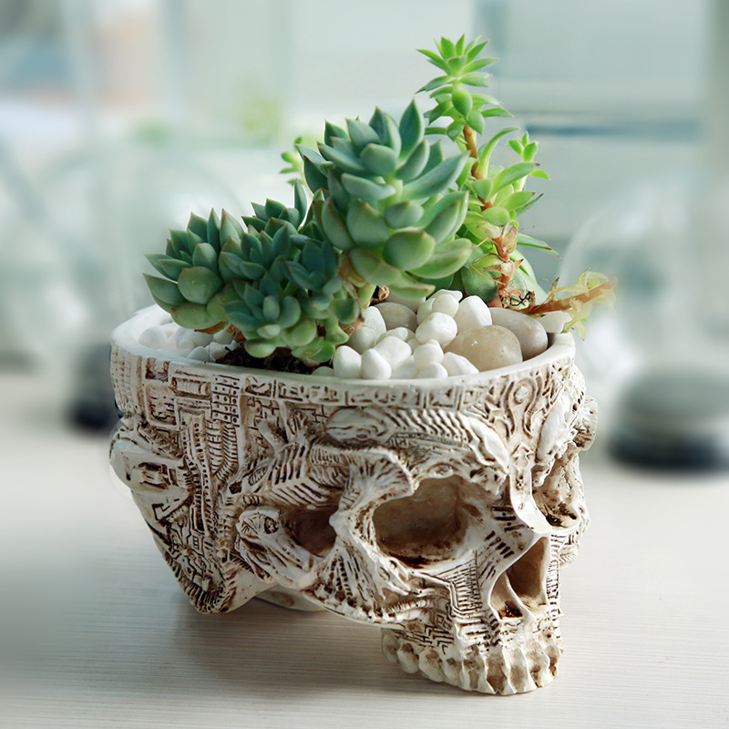 Halloween Skull Flower Pot Got - Snake Plant Ceramic review and price