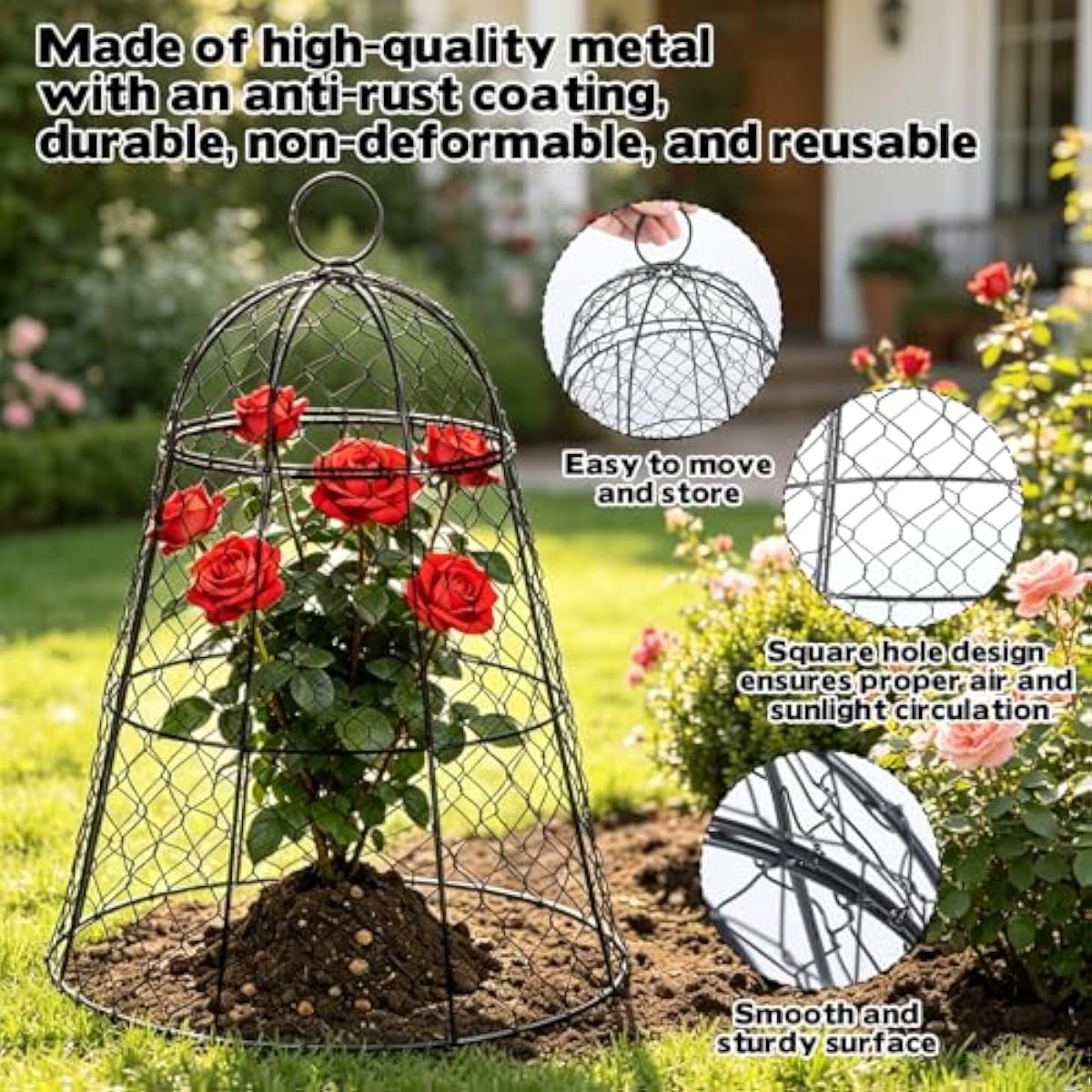 6 Pack Tall Black Wire Plant C - Plants X review and price