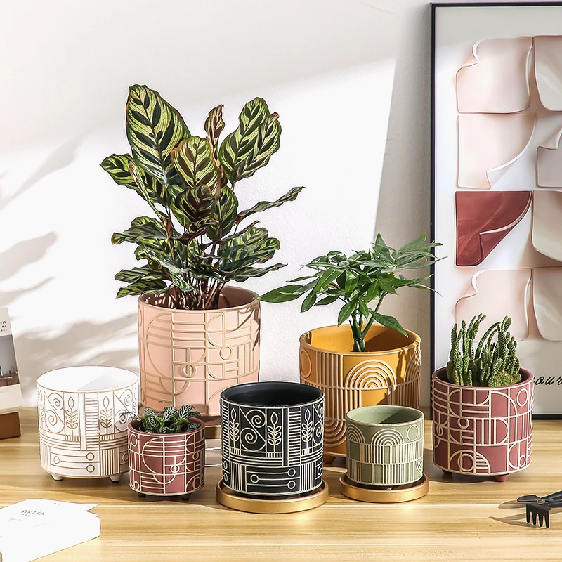 Simple Cylindrical Ceramic Flo - Snake Plant Ceramic review and price