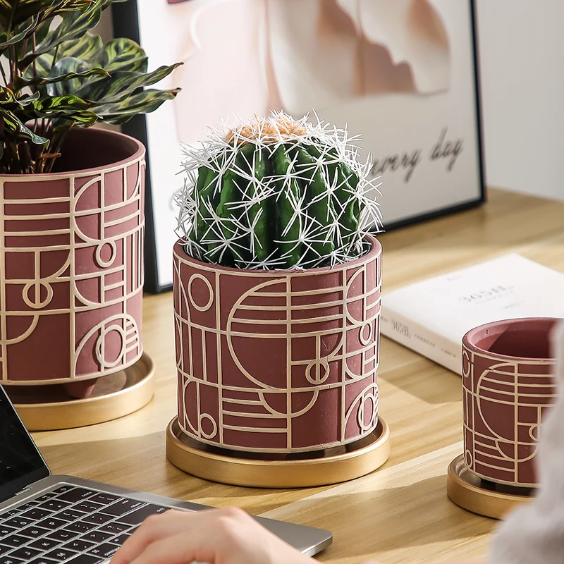 Simple Cylindrical Ceramic Flo - Snake Plant Ceramic review and price