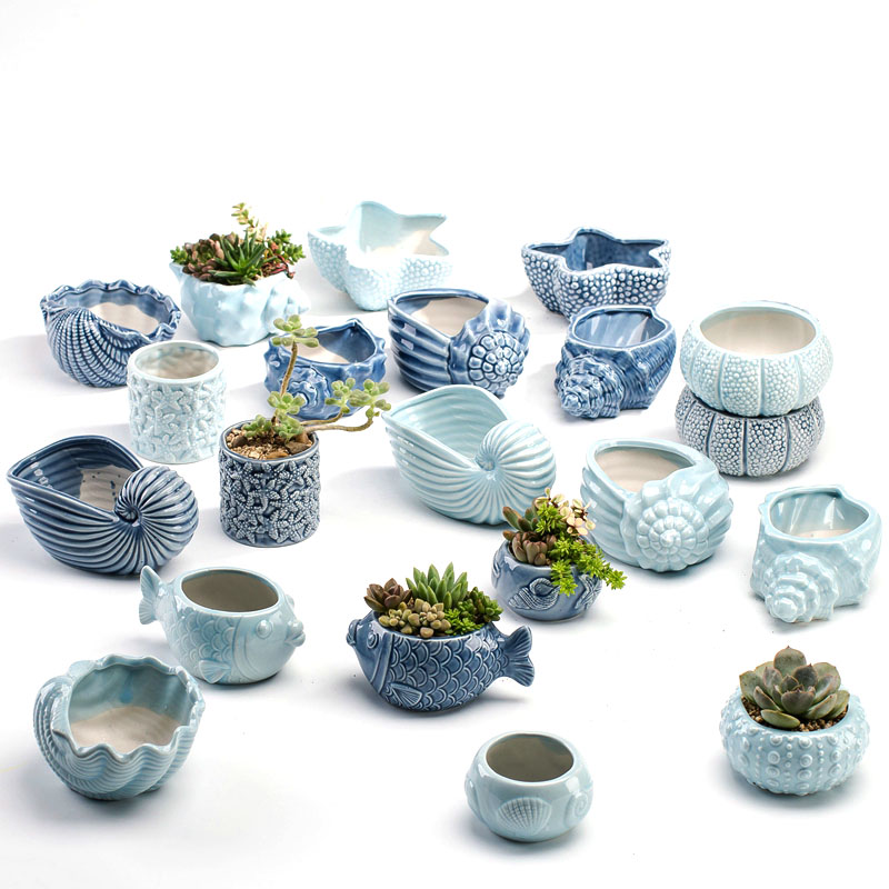 European Style Cute Fleshy Flo - Snake Plant Ceramic review and price
