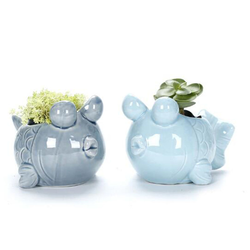 European Style Cute Fleshy Flo - Snake Plant Ceramic review and price